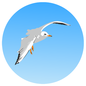 logo Landheaven mouette